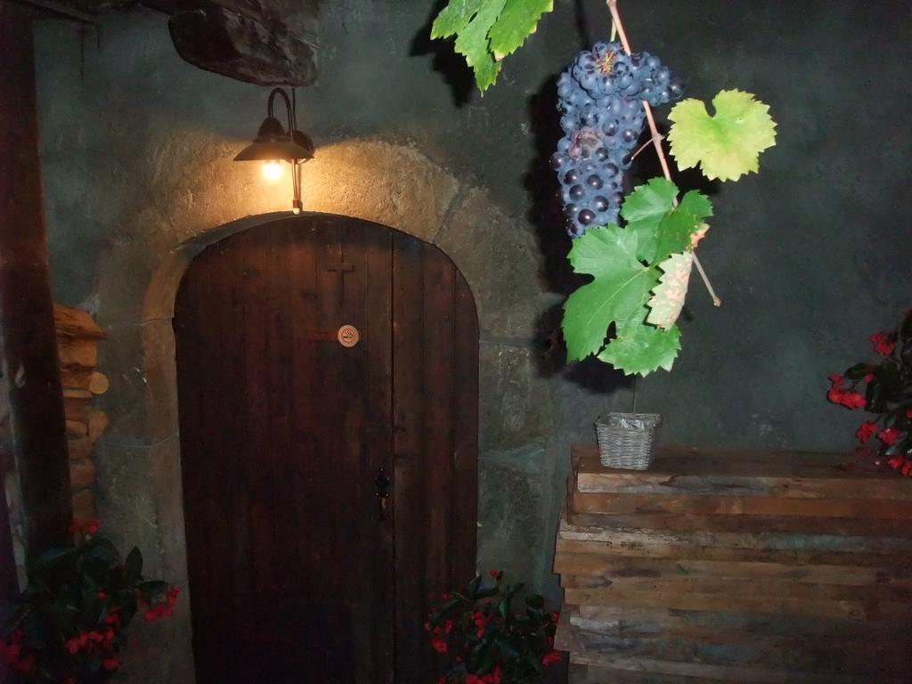 Le Domaine Du Grand Cellier Chambres D'Hotes En Savoie Турнон Экстерьер фото