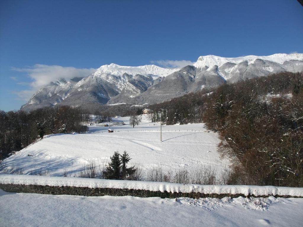 Le Domaine Du Grand Cellier Chambres D'Hotes En Savoie Турнон Экстерьер фото